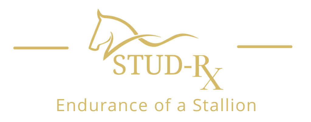 Stud-Rx Endurance of a stallion
