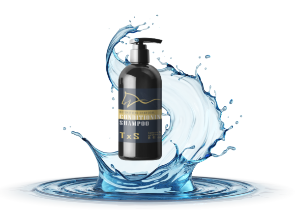 Sulfate-Free Detoxifying Charcoal Shampoo